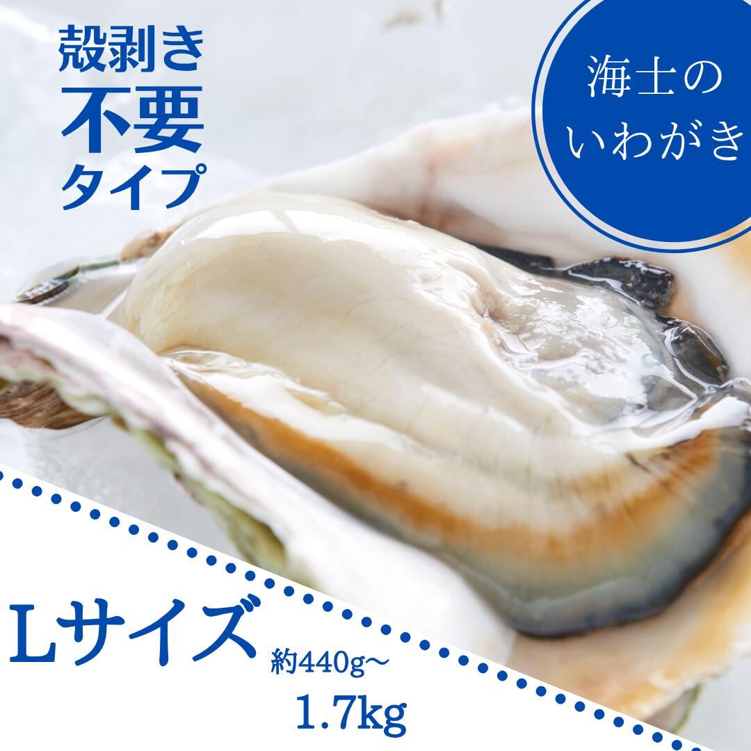 【ふるさと納税】【いわがき 殻なしLサイズ】岩牡蠣 生食可 冷凍 牡蛎 牡蠣 かき カキ 岩牡蠣 いわがき 冷凍 殻なし ハーフシェル 手軽 お歳暮 年末年始 数量限定｜島根県海士町