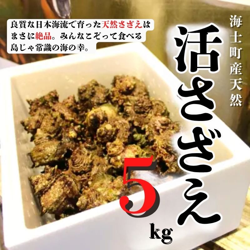 【楽天市場】【ふるさと納税】【現在入荷次第順次発送中!】【島獲れ活さざえ5kgセット】日本海の離島の新鮮なさざえを約50匹お届けします! 隠岐 隠岐の島 冷蔵便 サザエ さざえ 栄螺 貝 海鮮 BBQ さざえご飯 壺焼き 刺身 バーベキュー ギフト 今が旬:島根県海士町