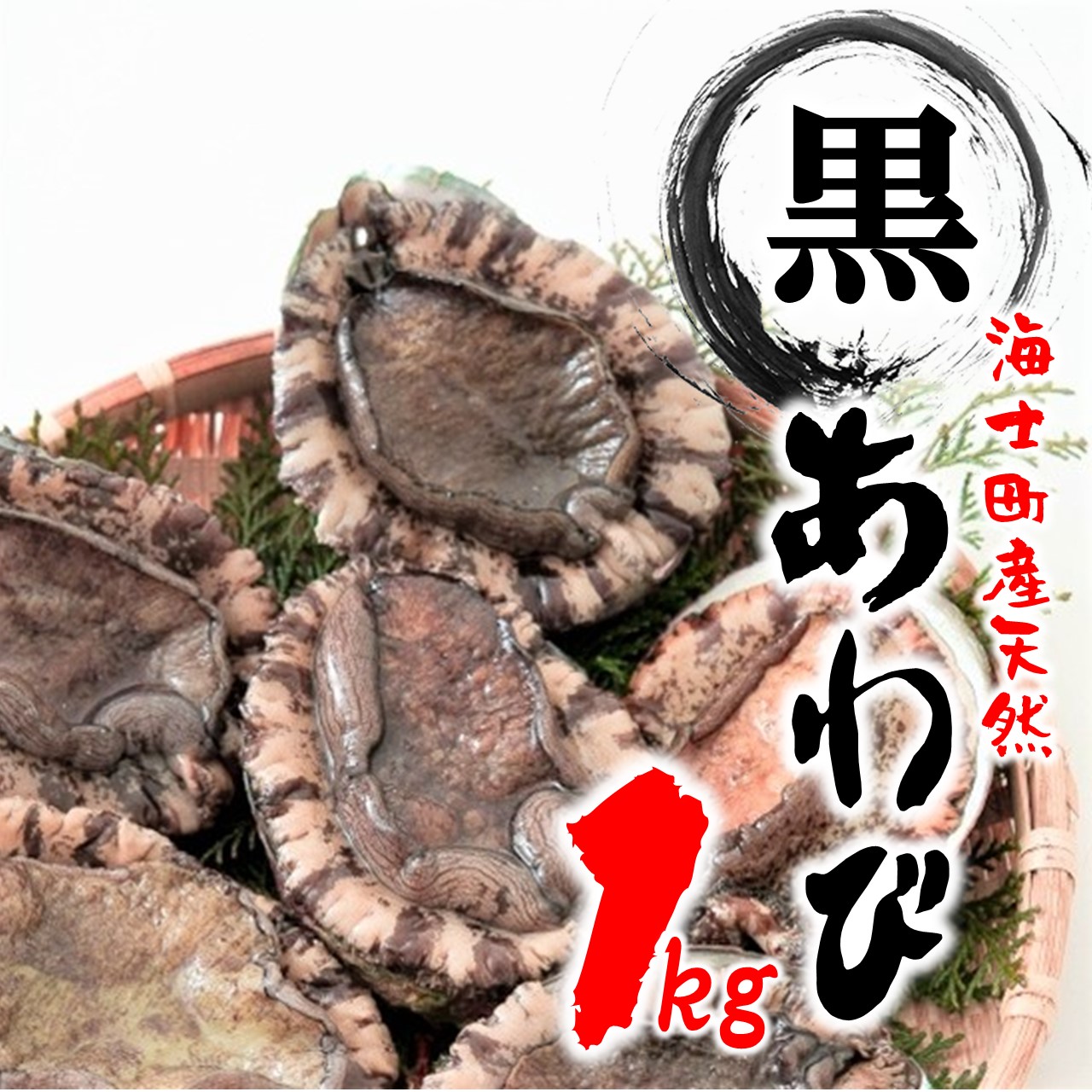 保証書付 ふるさと納税 隠岐 海士町といえばこれ 島獲れ活あわび 黒鮑 1kgセット 21年9月以降発送 国内最安値 Blog Belasartes Br