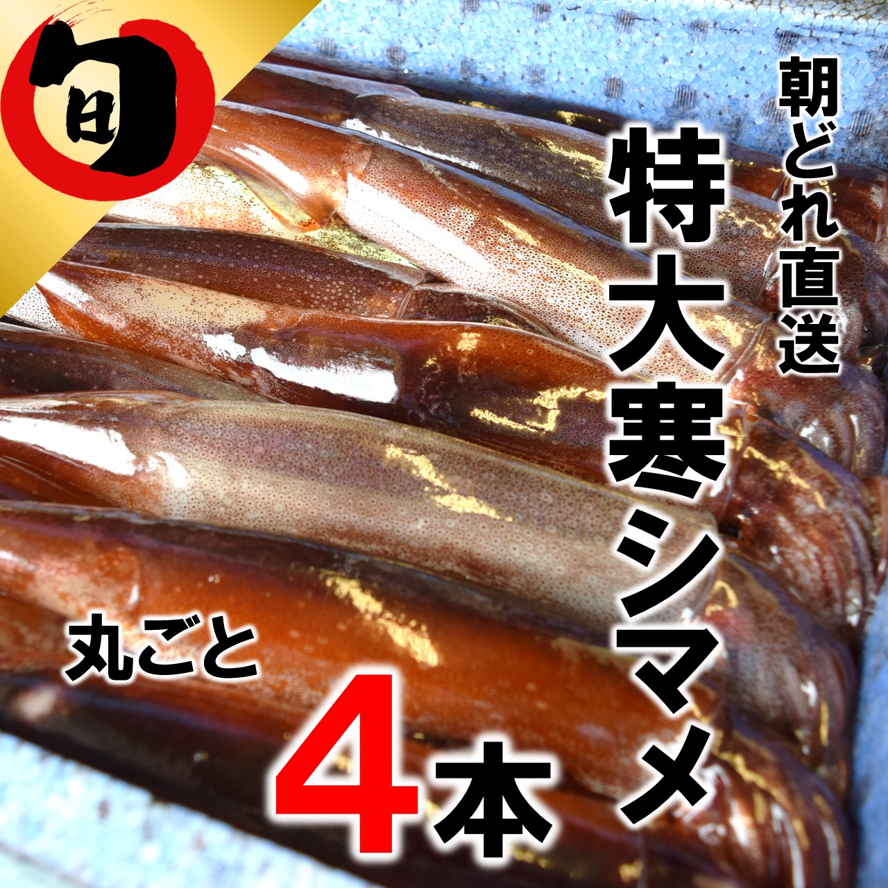 ふるさと納税 旬 朝どれ 寒シマメ スルメ 特大サイズ 350 500g 丸ごと 4杯 冷凍 小分け 簡単 刺身 Prescriptionpillsonline Is