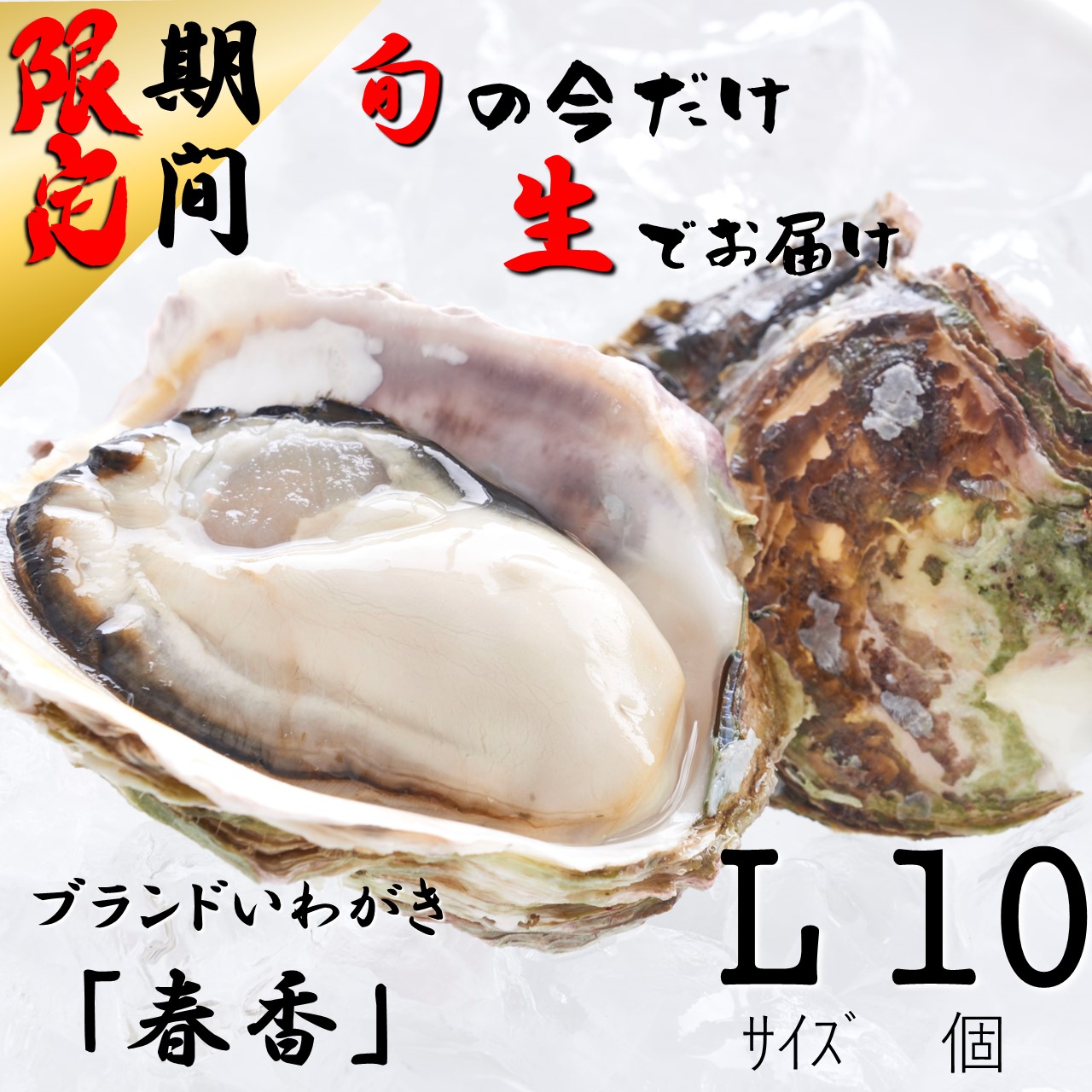年最新海外 ふるさと納税 生のいわがき 春香 Lサイズ10個 期間限定5月23日まで 正規激安 Www Lexusoman Com