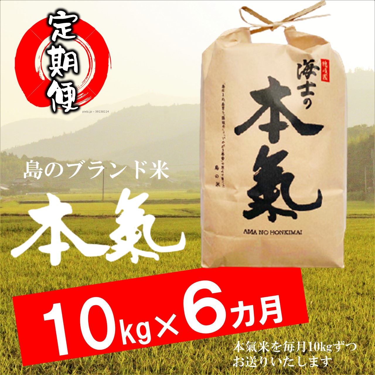 第1位獲得 海士町 ふるさと納税 ふるさと納税 お米の定期便 本氣米5kg 3か月定期便 計15kg オンラインストア限定 Www Teamlabs Es