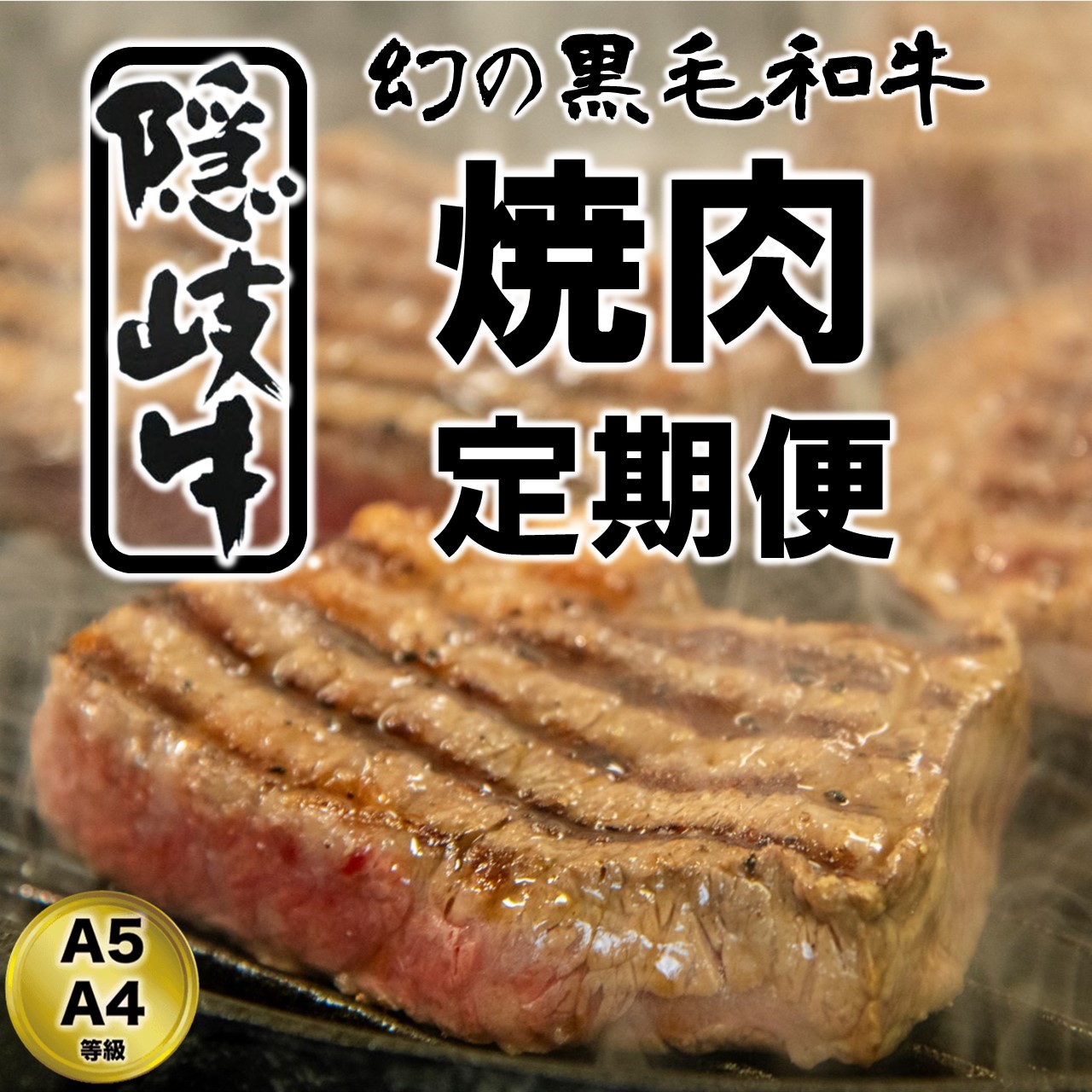 ふるさと納税 牛肉 焼肉 定期便 6ヶ月 A5 ランク 黒毛和牛 隠岐牛 冷凍 上盛合せ カルビ 焼肉用 400g 海士の天然塩付き 送料無料 Fmcholollan Org Mx