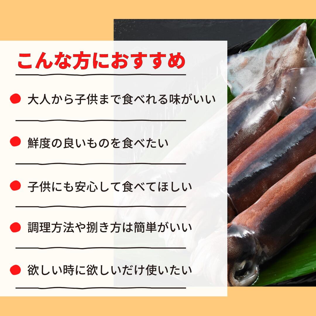 お中元 スルメイカ 刺身 小分け 冷凍 0g 250g 1kg以上 5杯 朝どれ鮮度 新鮮 旨味たっぷり 海士町産寒シマメ