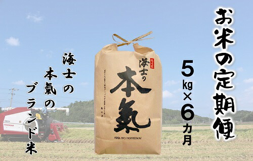 最新人気 お米の定期便 本氣米5kg 6か月定期便 計30kg お歳暮 Vancouverfamilymagazine Com