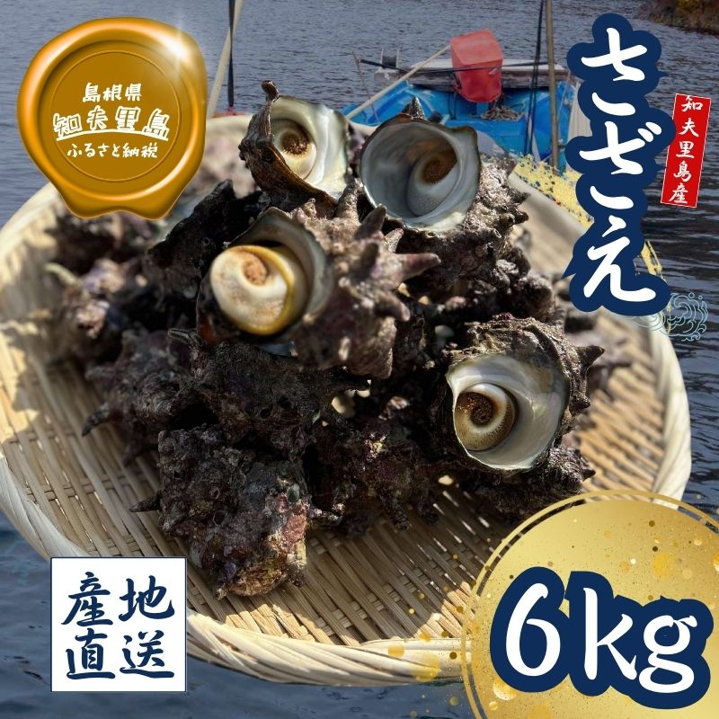 【ふるさと納税】知夫里島産　天然活さざえ　６ｋｇ