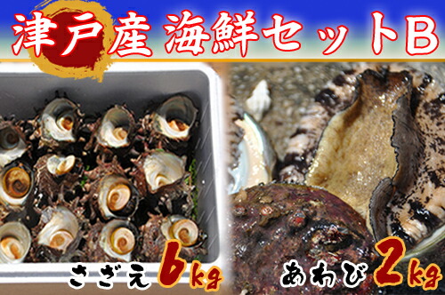 【ふるさと納税】隠岐津戸産　海鮮セットB 98,450円