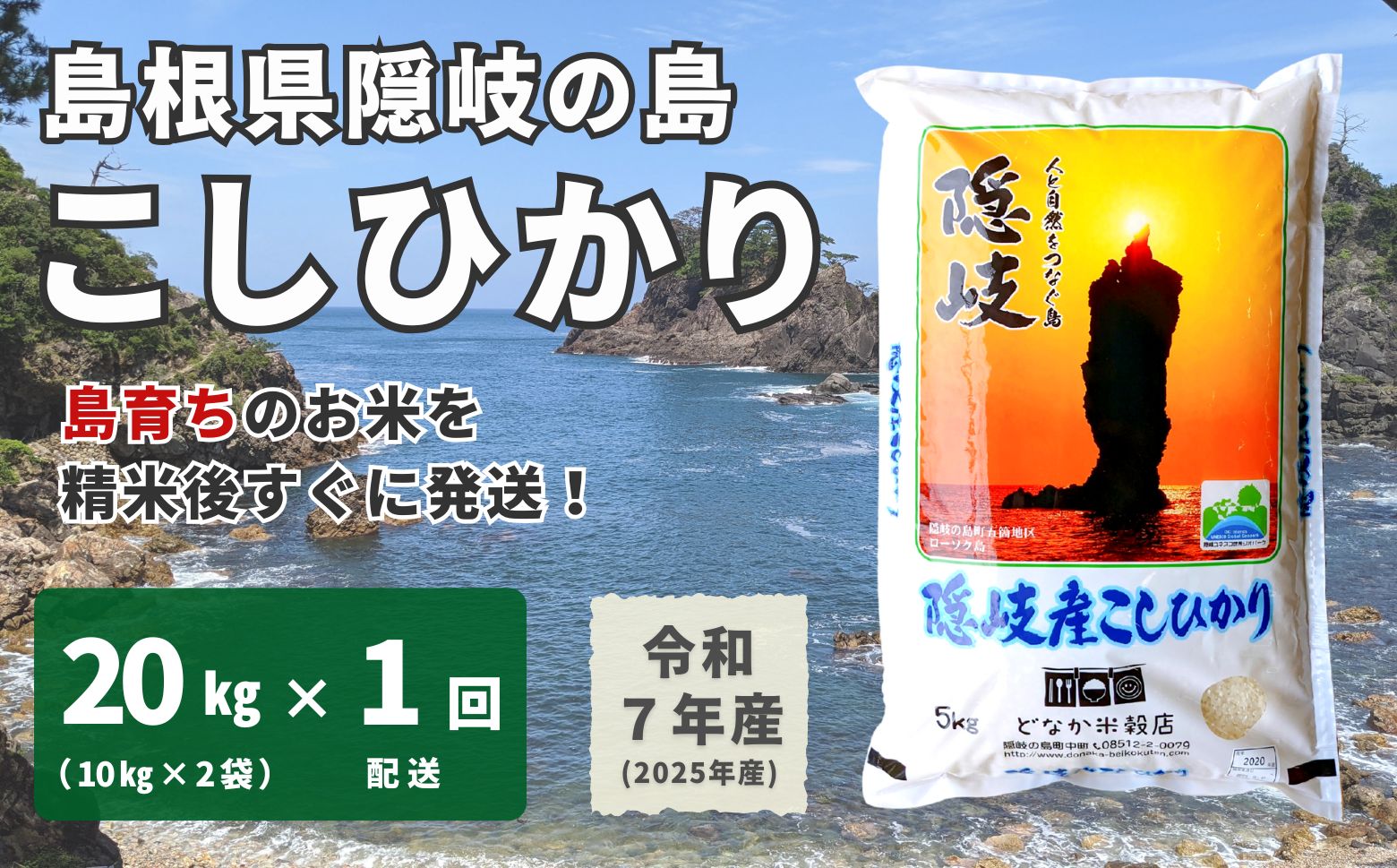 米・雑穀 【ふるさと納税】【令和7年産】隠岐産こしひかり20Kg（10Kg×2袋）