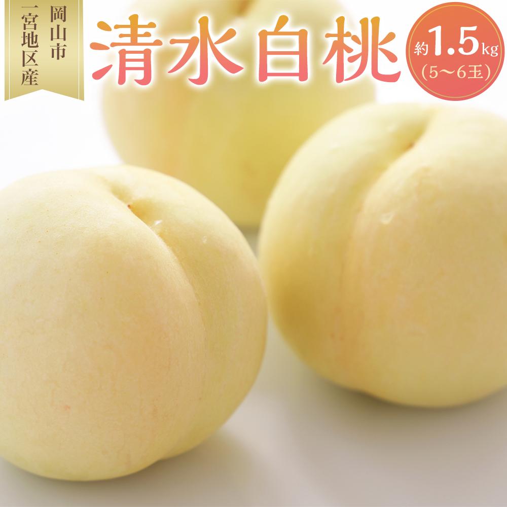 【ふるさと納税】桃 2025年 先行予約 清水 白桃 5～6玉入 約1.5kg 岡山市一宮地区産 もも モモ フルーツ 果物 ギフト | もも フルーツ 果物 くだもの 食品 人気 おすすめ 送料無料