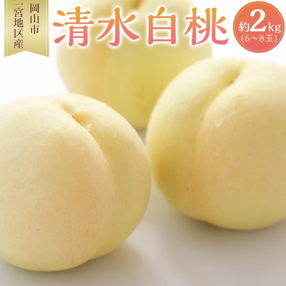 【ふるさと納税】桃 2025年 先行予約 清水 白桃 6～8玉入 約2.0kg 岡山市一宮地区産 もも モモ フルーツ 果物 ギフト | もも フルーツ 果物 くだもの 食品 人気 おすすめ 送料無料