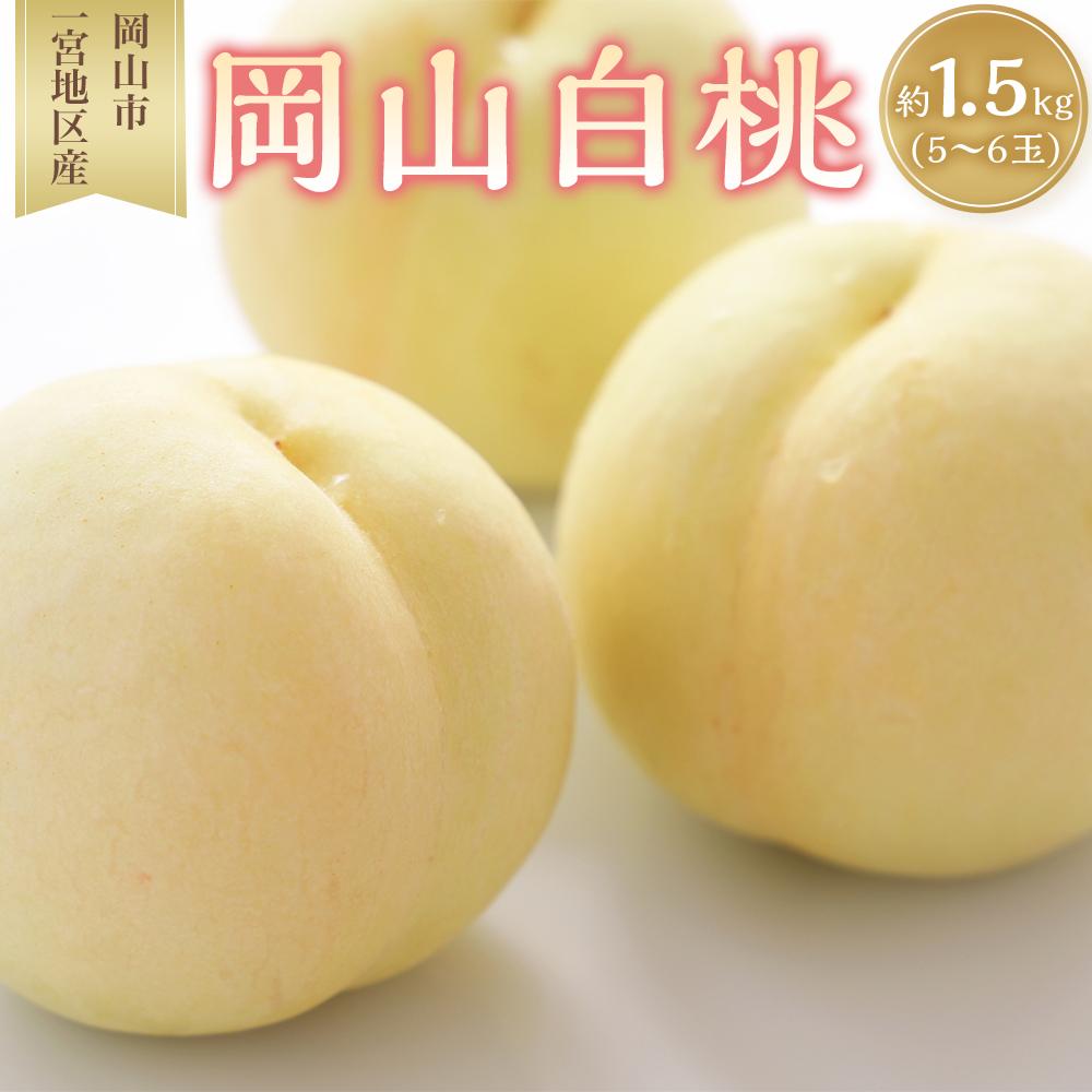 【ふるさと納税】桃 2025年 先行予約 岡山 白桃 5～6玉入 約1.5kg 岡山市一宮地区産 もも モモ フルーツ 果物 ギフト | もも フルーツ 果物 くだもの 食品 人気 おすすめ 送料無料
