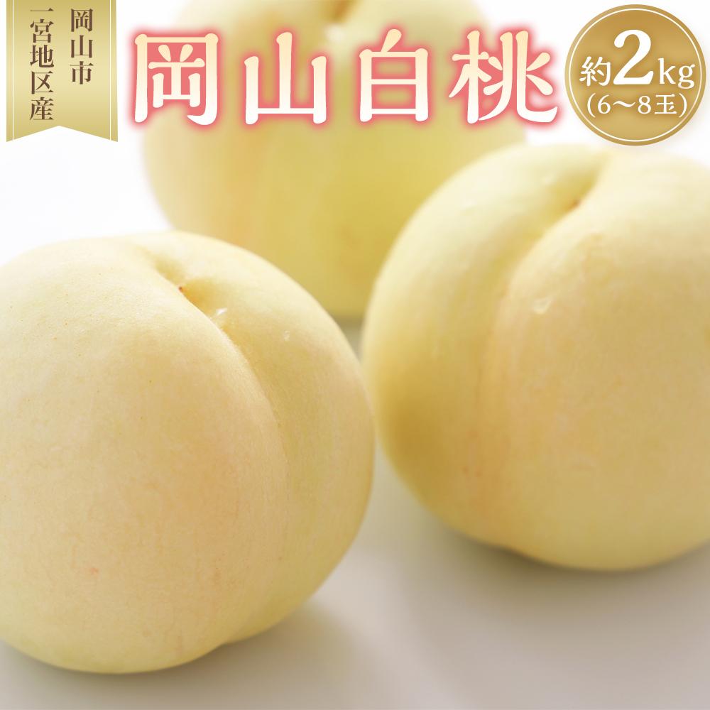 【ふるさと納税】桃 2025年 先行予約 岡山 白桃 6～8玉入 約2.0kg 岡山市一宮地区産 もも モモ フルーツ 果物 ギフト | もも フルーツ 果物 くだもの 食品 人気 おすすめ 送料無料