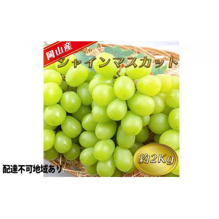 【ふるさと納税】ぶどう 2025年 先行予約 シャイン マスカット 【9月上旬～9月下旬頃発送】約2kg 糖度抜群！ ブドウ 葡萄 岡山県産 国産 フルーツ 果物 ギフト | フルーツ 果物 くだもの 食品 人気 おすすめ 送料無料