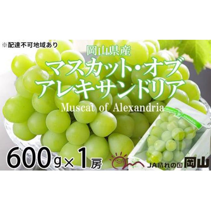 【ふるさと納税】ぶどう 2025年 先行予約 マスカット ・オブ・アレキサンドリア 約600g×1房 9月上旬～9月下旬発送分 ブドウ 葡萄  岡山県産 国産 フルーツ 果物 ギフト | フルーツ 果物 くだもの 食品 人気 おすすめ