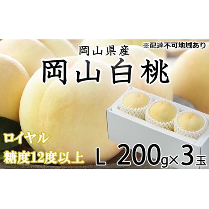 【ふるさと納税】桃 2025年 先行予約 岡山 白桃 ロイヤル 3玉×約200g（Lサイズ）JAおかやまのもも（早生種・中生種） もも モモ 岡山県産 国産 フルーツ 果物 ギフト | もも フルーツ 果物 くだもの 食品 人気 おすすめ
