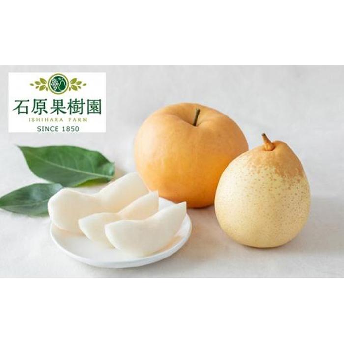 【ふるさと納税】梨 2025年 先行予約 備前横綱梨（あたご梨） 超大玉1玉 1kg～1.4kg・備前乙女梨（鴨梨） 2～3玉 詰合せ 合計2.0kg以上 贈答箱 岡山県産 フルーツ ギフト 石原果樹園 | フルーツ 果物 くだもの