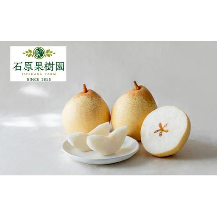 【ふるさと納税】梨 2025年 先行予約 鴨梨（ヤーリー）3～6玉 約2kg 贈答箱 ナシ なし 岡山県産 国産 フルーツ 果物 ギフト 石原果樹園 | フルーツ 果物 くだもの 食品 人気 おすすめ 送料無料