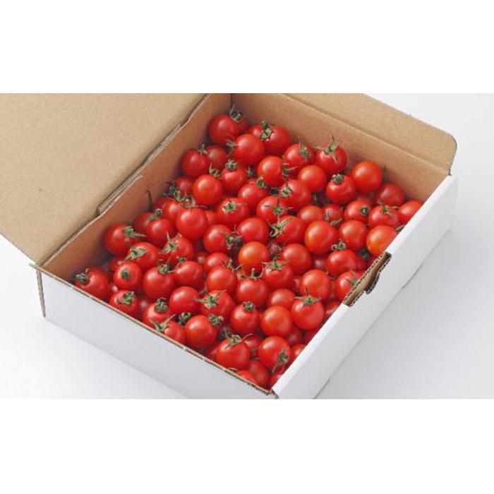 【ふるさと納税】きびトマト（高糖度ミニトマト）1kg  | 野菜 やさい 食品 人気 おすすめ 送料無料