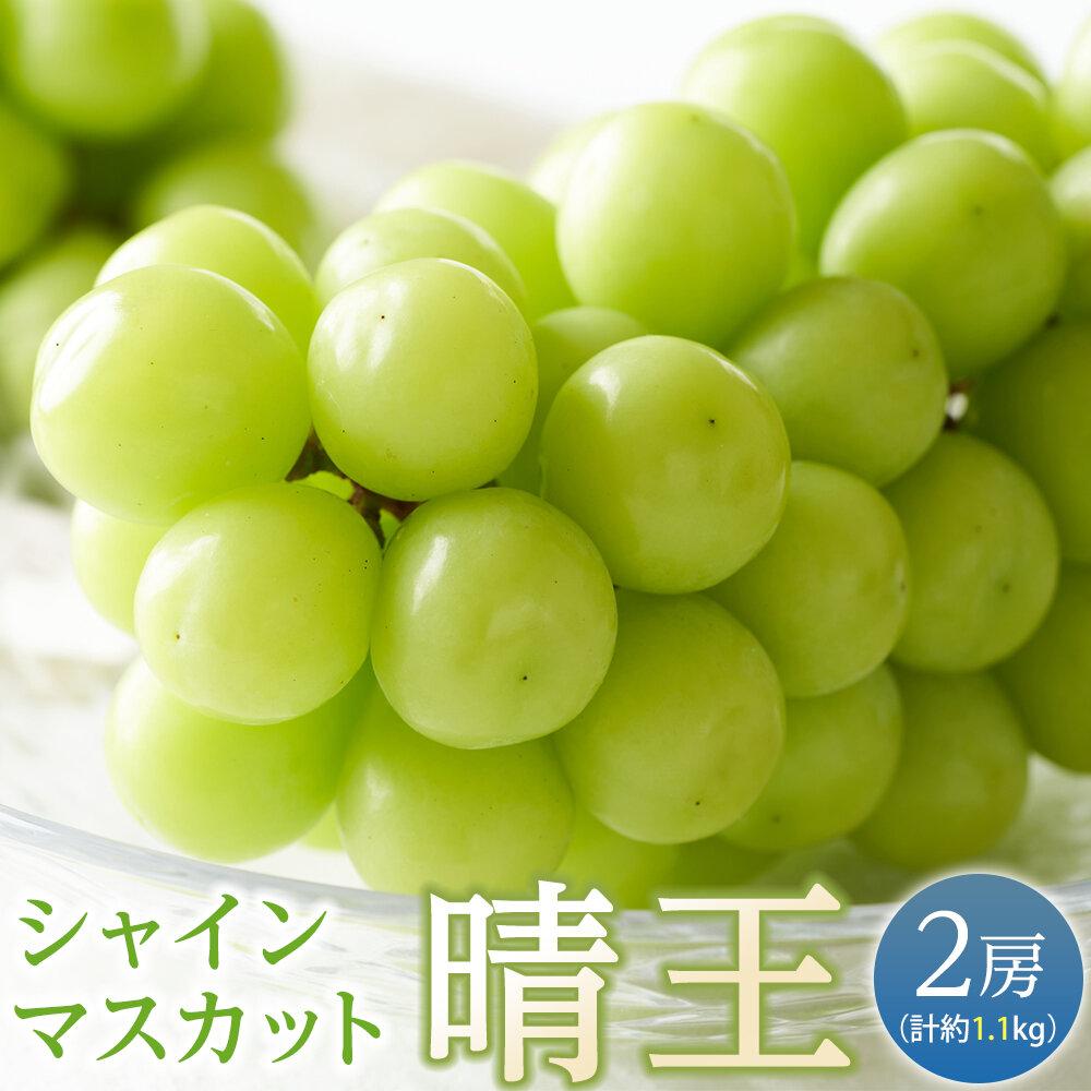 【ふるさと納税】ぶどう 2025年 先行予約 シャイン マスカット 晴王 2房（合計約1.1kg） マスカット ブドウ 葡萄  岡山県産 国産 フルーツ 果物 ギフト | フルーツ 果物 くだもの 食品 人気 おすすめ 送料無料