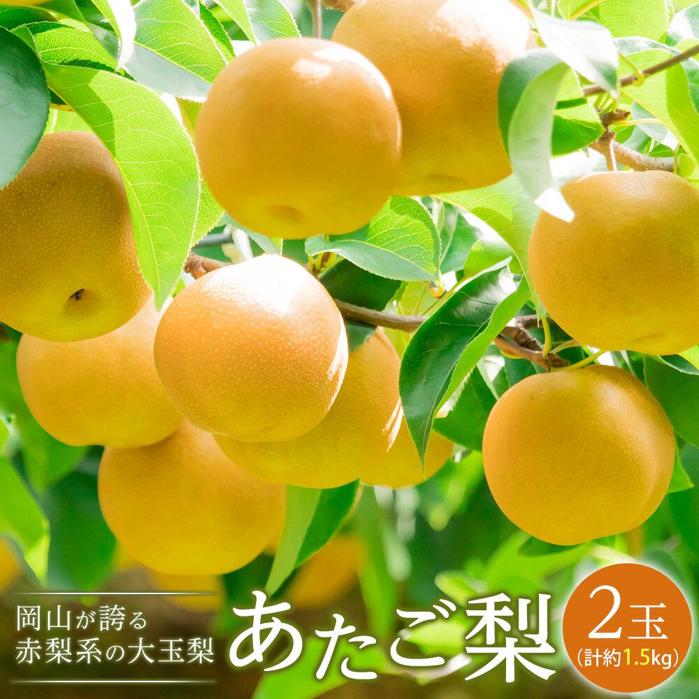 【ふるさと納税】梨 2025年 先行予約 あたご梨 2玉（1玉約750g）合計約1.5kg なし ナシ 岡山県産 国産 フルーツ 果物 ギフト | フルーツ 果物 くだもの 食品 人気 おすすめ 送料無料