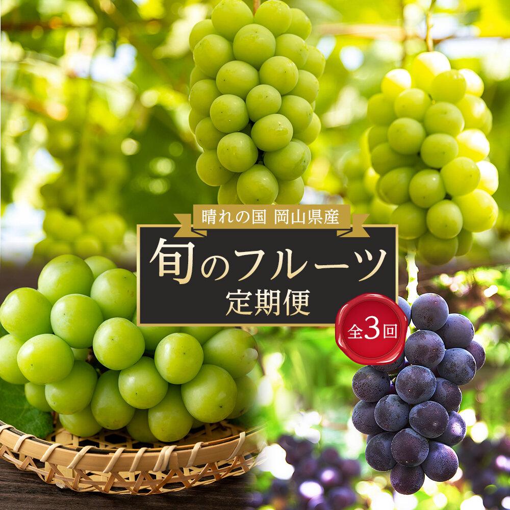 【ふるさと納税】フルーツ 定期便 2025年 先行予約 晴れの国 岡山県産 旬のフルーツ定期便 3回コース 葡萄 ぶどう 岡山県産 国産 セット ギフト | フルーツ 果物 くだもの 食品 人気 おすすめ 送料無料