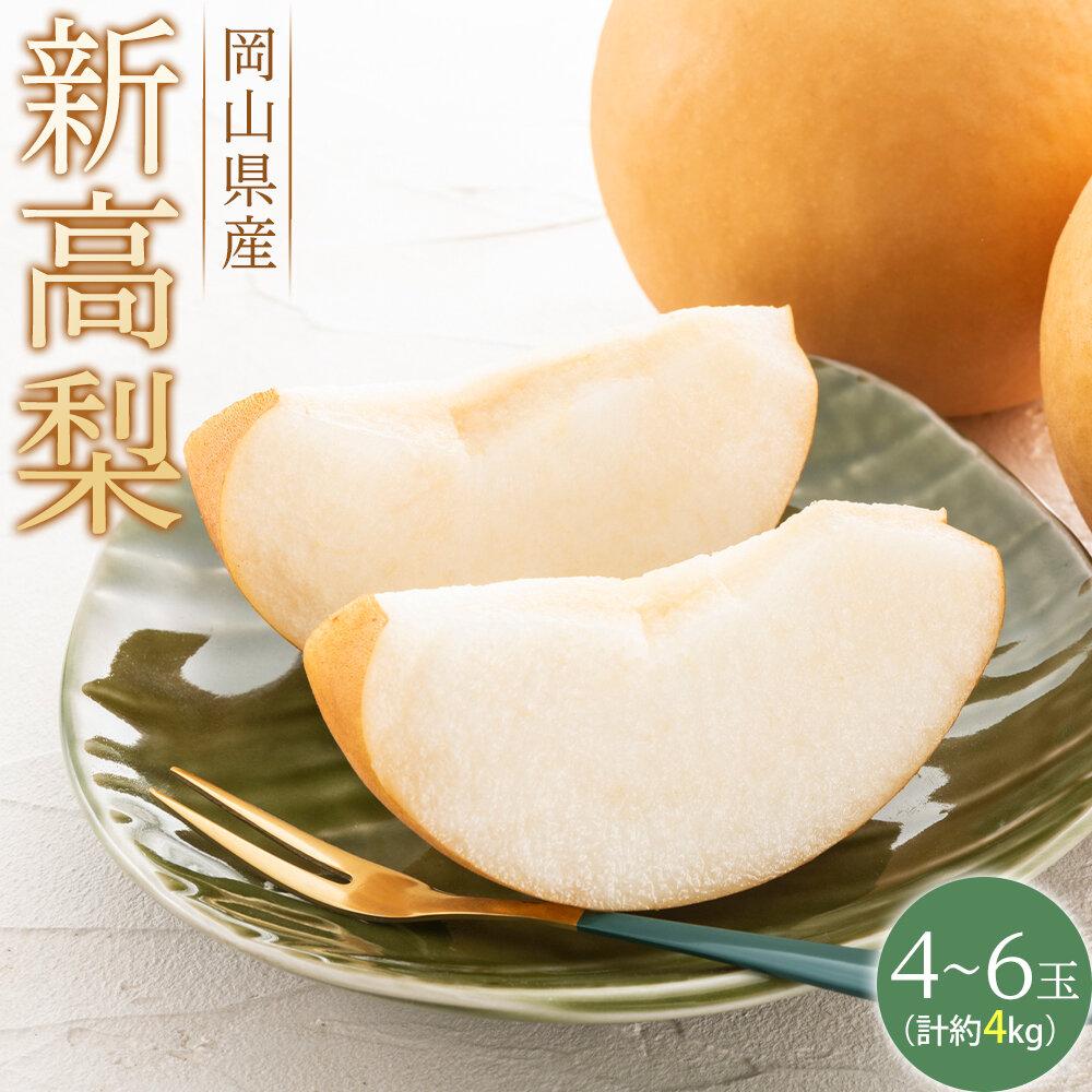 【ふるさと納税】梨 2025年 先行予約 新高梨 青秀以上 4～6玉 約4kg  なし ナシ 岡山県産 国産 フルーツ 果物 ギフト | フルーツ 果物 くだもの 食品 人気 おすすめ 送料無料
