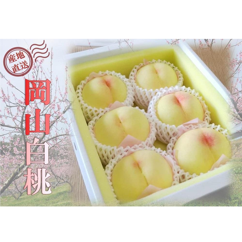 【ふるさと納税】桃 2025年 先行予約 贈答用 岡山 清水 白桃  約2kg（5～7玉） もも モモ 岡山県 岡山市産 国産 フルーツ 果物 ギフト | もも フルーツ 果物 くだもの 食品 人気 おすすめ 送料無料
