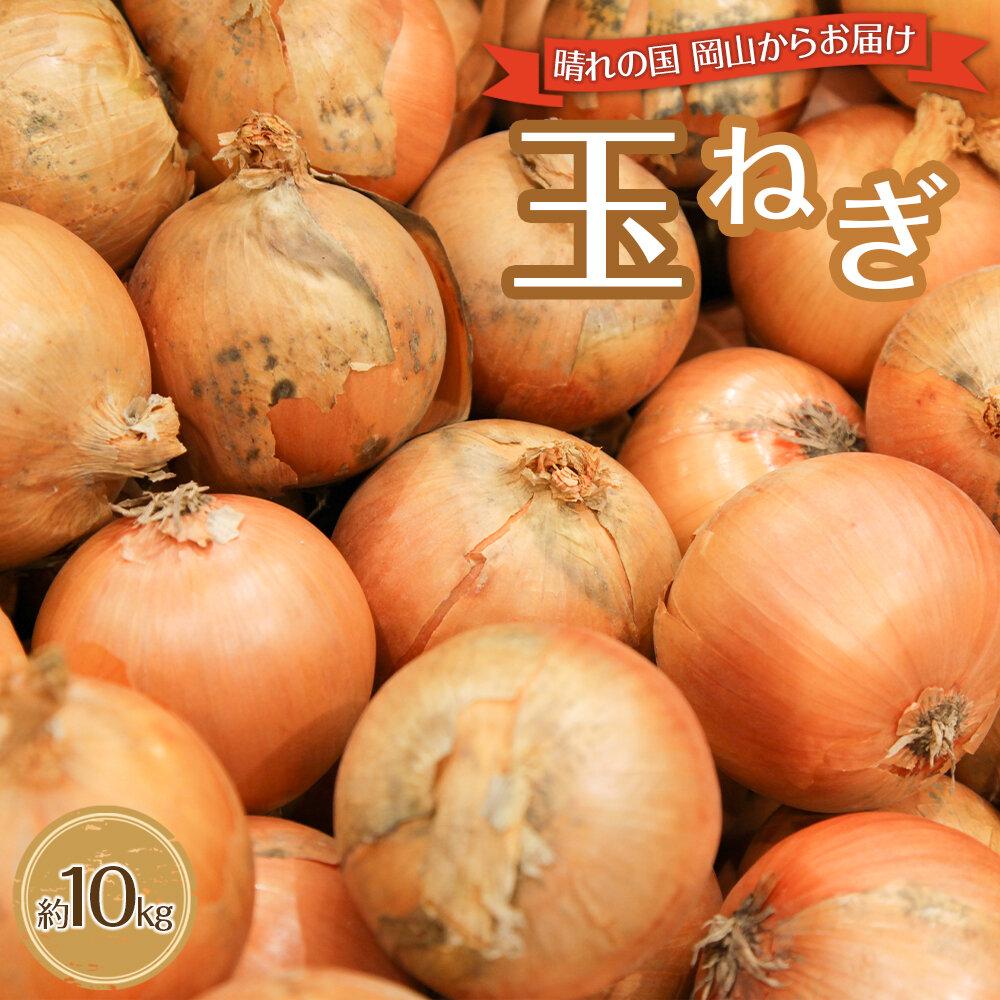 【ふるさと納税】玉ねぎ 岡山市産 約10kg 2026年 野菜 たまねぎ タマネギ オニオン | 野菜 やさい 食品 人気 おすすめ 送料無料|岡山県岡山市