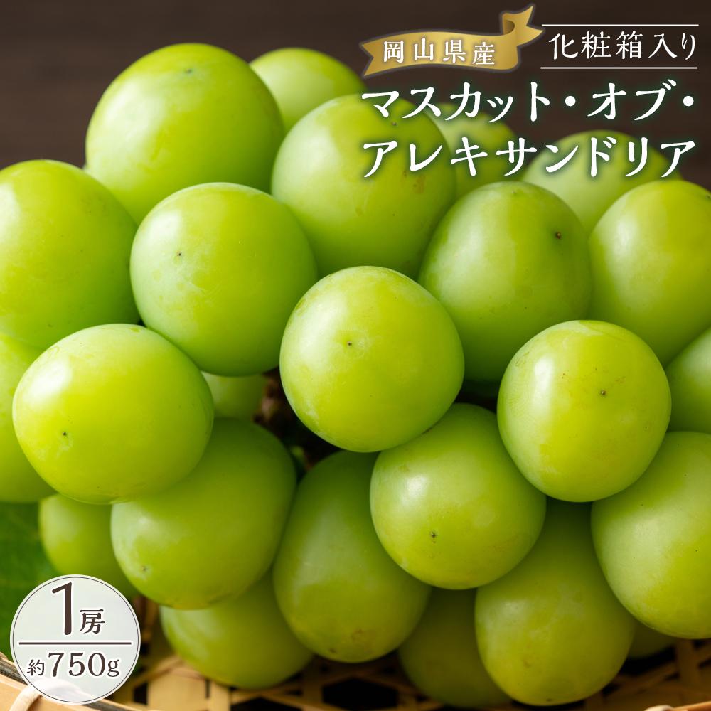 【ふるさと納税】ぶどう 2026年 マスカット・オブ・アレキサンドリア 1房約750g 化粧箱入り ブドウ 葡萄 岡山県産 国産 フルーツ 果物 ギフト | フルーツ 果物 くだもの 食品 人気 おすすめ 送料無料