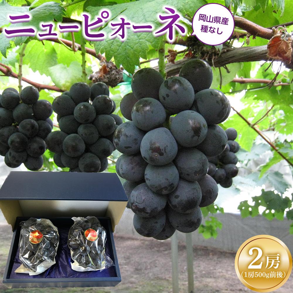 【ふるさと納税】ぶどう 2025年 先行予約 ニュー ピオーネ 2房（1房500g前後） 産地直送 ブドウ 葡萄  岡山県産 国産 フルーツ 果物 ギフト たけまさぶどう園 | フルーツ 果物 くだもの 食品 人気 おすすめ 送料無料