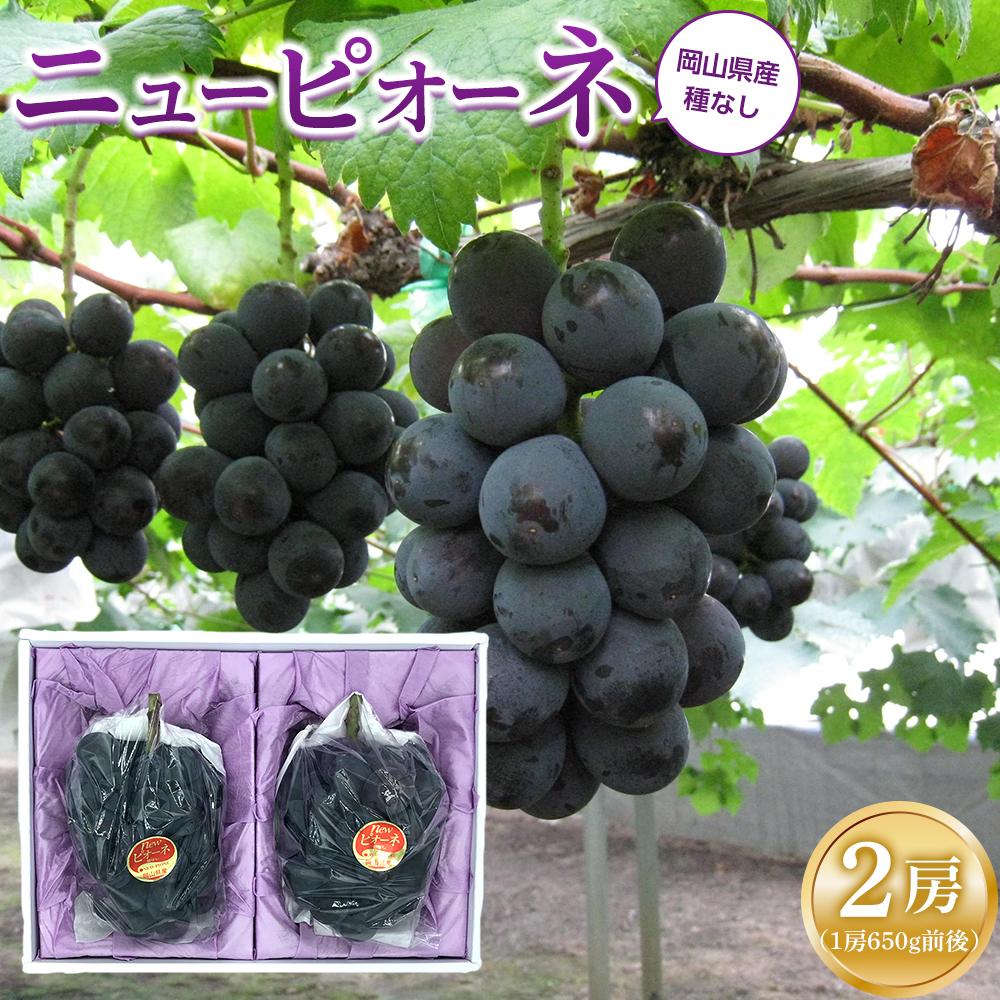 【ふるさと納税】ぶどう 2025年 先行予約 ニュー ピオーネ 2房（1房約650g前後） 産地直送 ブドウ 葡萄  岡山県産 国産 フルーツ 果物 ギフト たけまさぶどう園 | フルーツ 果物 くだもの 食品 人気 おすすめ 送料無料