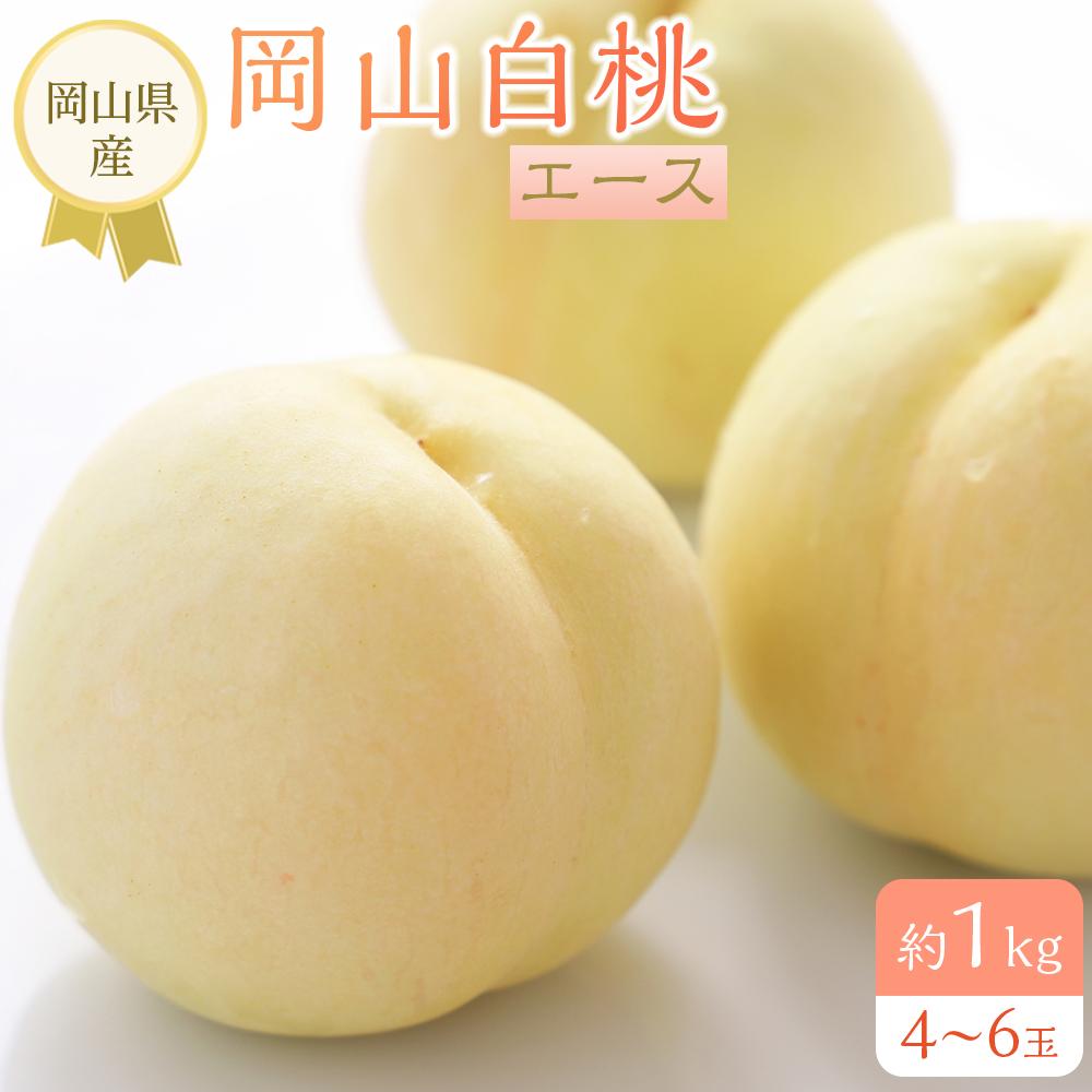 【ふるさと納税】岡山県産 桃 岡山白桃 2025年 先行予約 エース 約1kg（4～6玉）もも モモ フルーツ 果物 ギフト | モモ momo 白桃 詰め合わせ おかやま 岡山県 岡山市 フルーツ お取り寄せ 国産 送料無料 おすすめ 人気 フルーツ