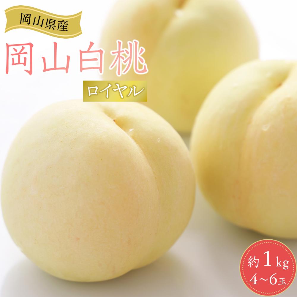 【ふるさと納税】岡山県産 桃 岡山白桃 2025年 先行予約 ロイヤル 約1kg（4～6玉）もも モモ フルーツ 果物 ギフト | モモ momo 白桃 詰め合わせ おかやま 岡山県 岡山市 フルーツ お取り寄せ 国産 送料無料 おすすめ 人気 フルーツ