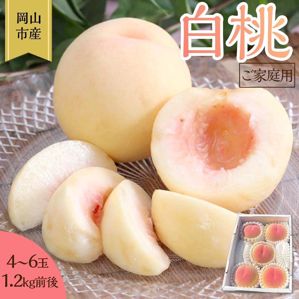 【ふるさと納税】桃 2025年 先行予約 ご家庭用 岡山 白桃 4玉～６玉 1.2kg 前後 もも 岡山県産 国産 フルーツ 果物 雅桃園 | もも フルーツ 果物 くだもの 食品 人気 おすすめ 送料無料
