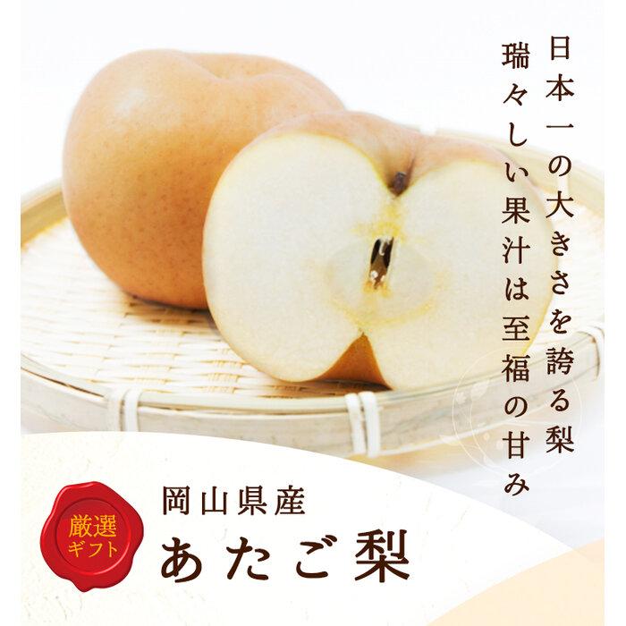 【ふるさと納税】2025年 先行予約 岡山県産　あたご梨 4～7玉（約4kg） 化粧箱入り | フルーツ 果物 くだもの 食品 人気 おすすめ 送料無料
