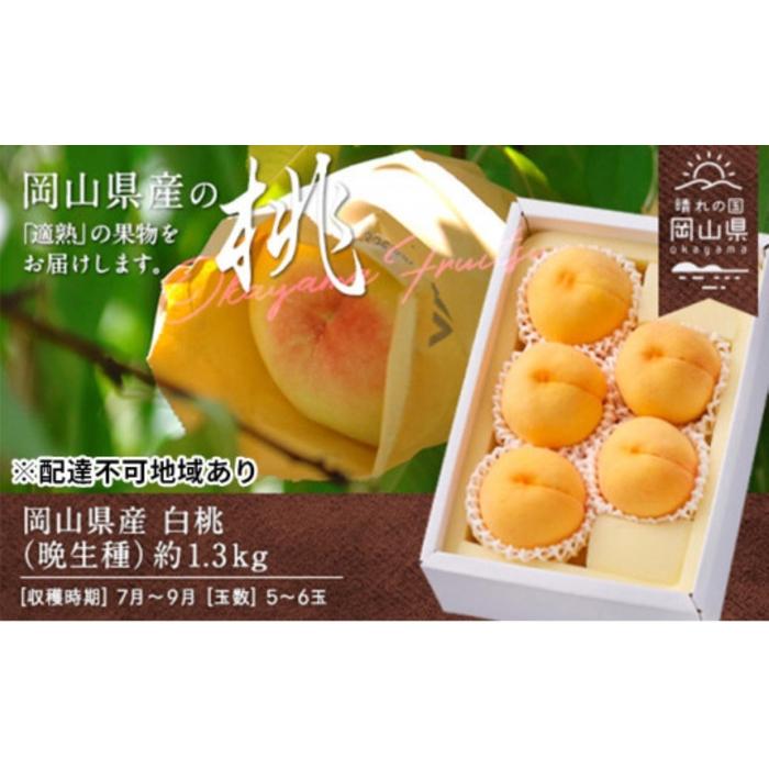 【ふるさと納税】桃 2026年 岡山県産 白桃(晩生種) 約1.3kg 5~6玉(クール便) | フルーツ 果物 くだもの 食品 人気 おすすめ 送料無料|岡山県岡山市