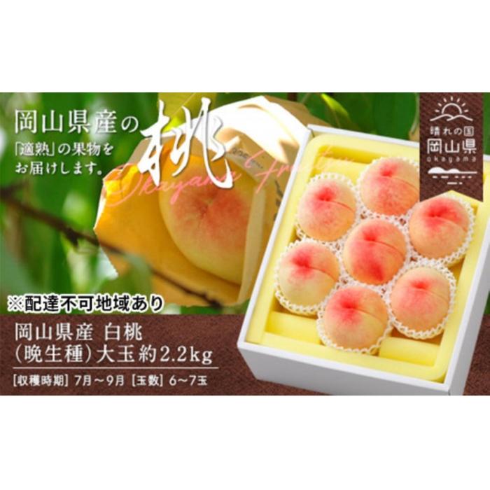 【ふるさと納税】桃 2025年 先行予約 岡山県産 白桃（晩生種） 大玉 約2.2kg 6～7玉（クール便） | フルーツ 果物 くだもの 食品 人気 おすすめ 送料無料