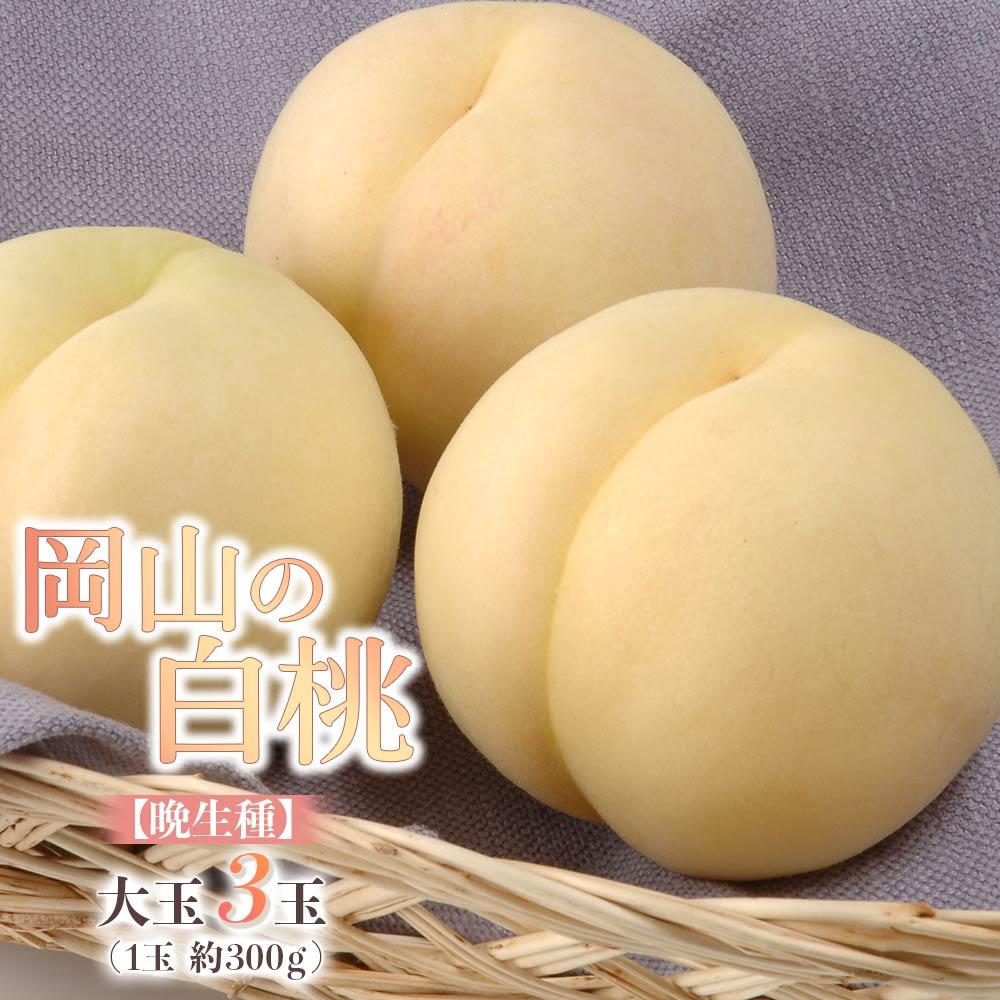【ふるさと納税】桃 2025年 先行予約 岡山の 白桃 大玉3玉（晩生種）（1玉約300g） もも モモ 岡山県産 国産 フルーツ 果物 ギフト | もも フルーツ 果物 くだもの 食品 人気 おすすめ 送料無料