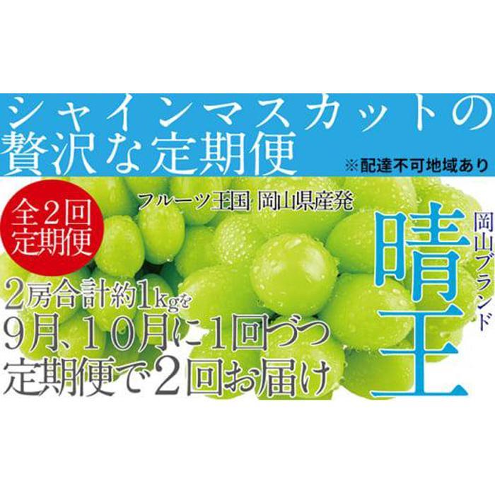 【ふるさと納税】ぶどう 2025年 先行予約 9月・10月発送 シャイン マスカット 晴王 2房（合計約1kg）×2回 ブドウ 葡萄  岡山県産 国産 フルーツ 果物 ギフト