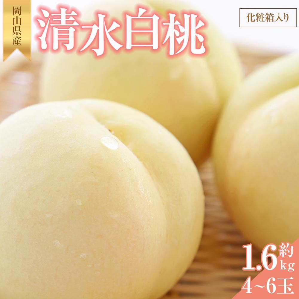 【ふるさと納税】桃 2025年 先行予約 清水 白桃 約1.6kg 4~6玉 もも モモ 岡山県産 国産 フルーツ 果物 ギフト 横木農園 | もも フルーツ 果物 くだもの 食品 人気 おすすめ 送料無料