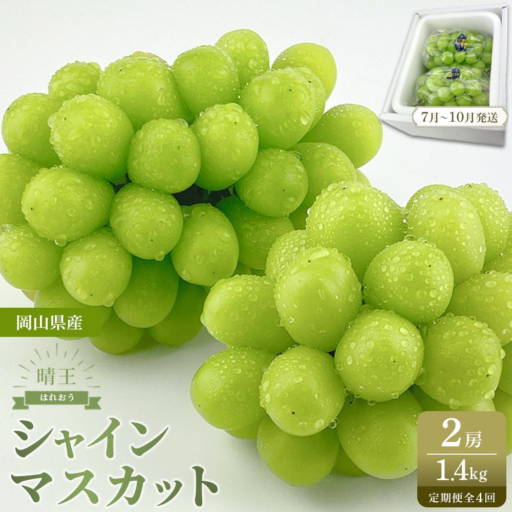 【ふるさと納税】【定期便 全4回／2025年7～10月毎月発送】岡山県産 シャインマスカット 晴王 2房 約1.4kg ４回定期便付　ハレノフルーツ | マスカット シャイン 岡山産 岡山県産 フレッシュ みずみずしい 新鮮 フルーツ 果物 期間限定 先行予約