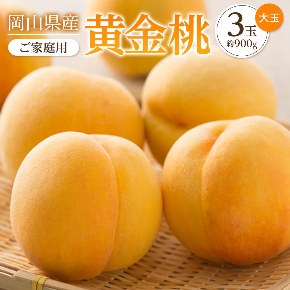 【ふるさと納税】桃 2026年 ご家庭用 おかやま の 黄金桃 大玉 3玉（合計約900g） もも モモ 岡山県産 国産 フルーツ 果物 | もも フルーツ 果物 くだもの 食品 人気 おすすめ 送料無料｜岡山県岡山市