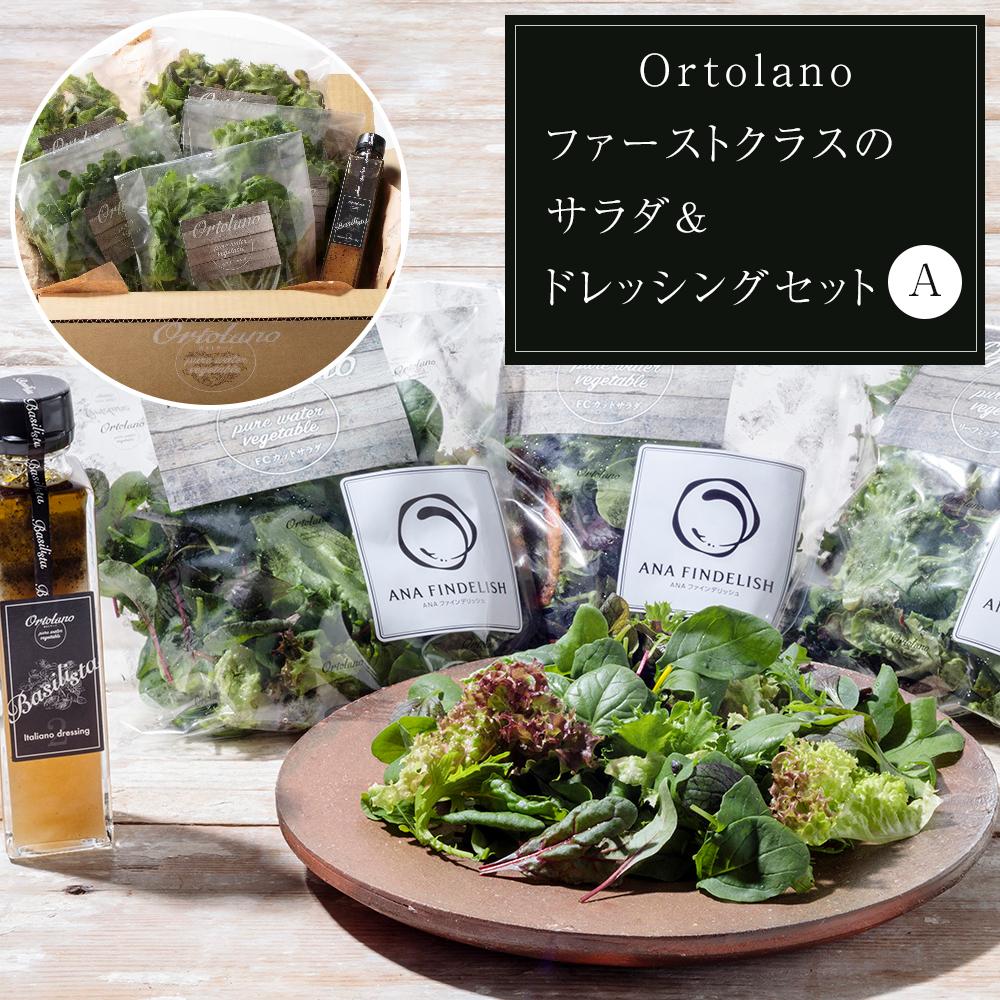 【ふるさと納税】【Ortolano】ファーストクラスのサラダ＆ドレッシングセット A【配達不可：北海道・沖縄・離島】  | 野菜 やさい 食品 人気 おすすめ 送料無料