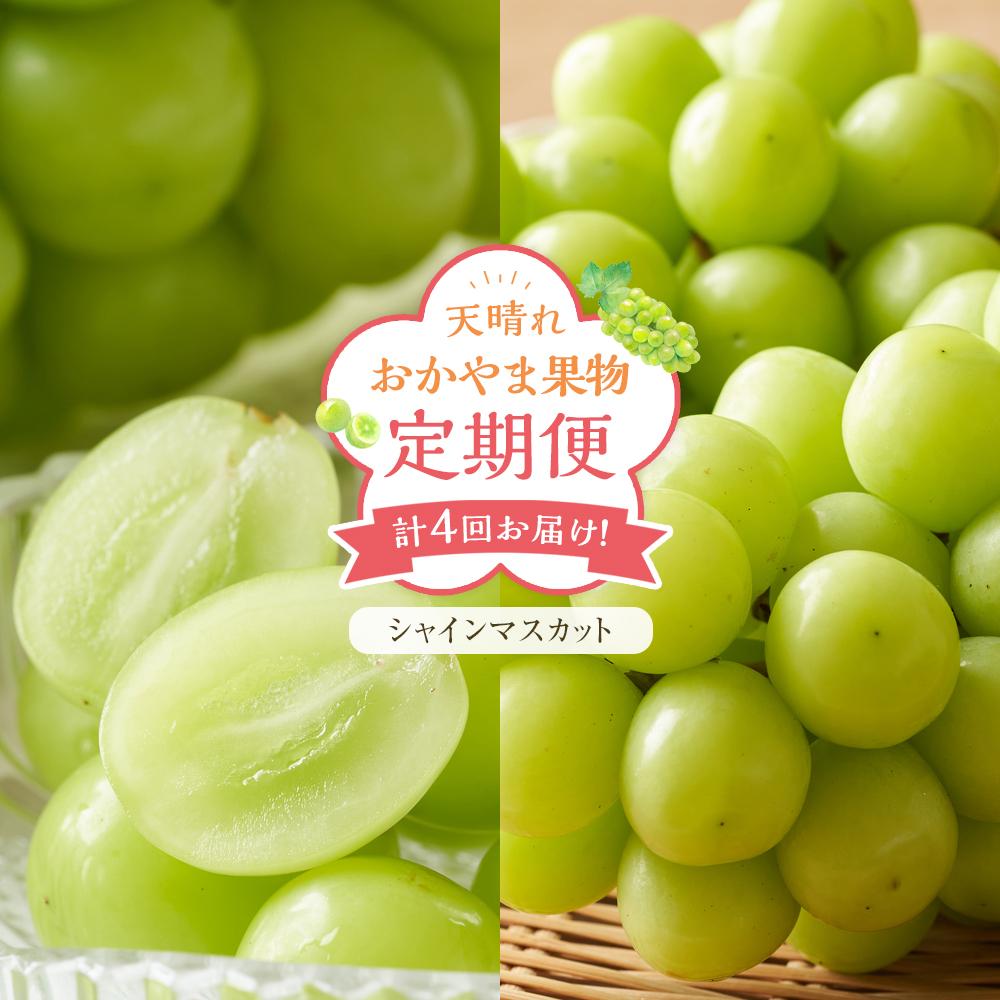 【ふるさと納税】フルーツ 定期便 2025年 先行予約 天晴れ おかやま 果物 定期便 (3)  シャイン マスカット 4回お届け！ 岡山県産 国産 セット ギフト | フルーツ 果物 くだもの 食品 人気 おすすめ 送料無料