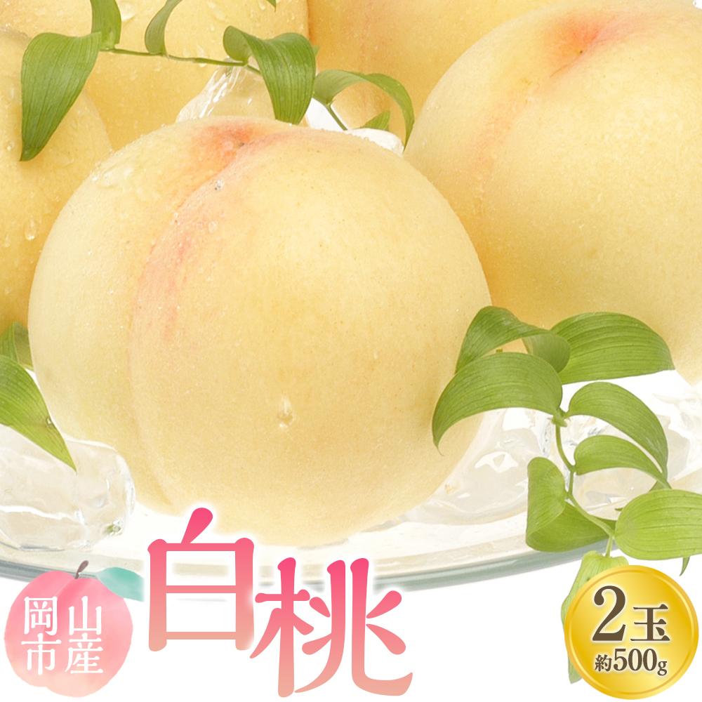 【ふるさと納税】桃 2025年 先行予約 白桃 2玉 合計約500g もも モモ 岡山市産 国産 フルーツ 果物 ギフト | もも フルーツ 果物 くだもの 食品 人気 おすすめ 送料無料