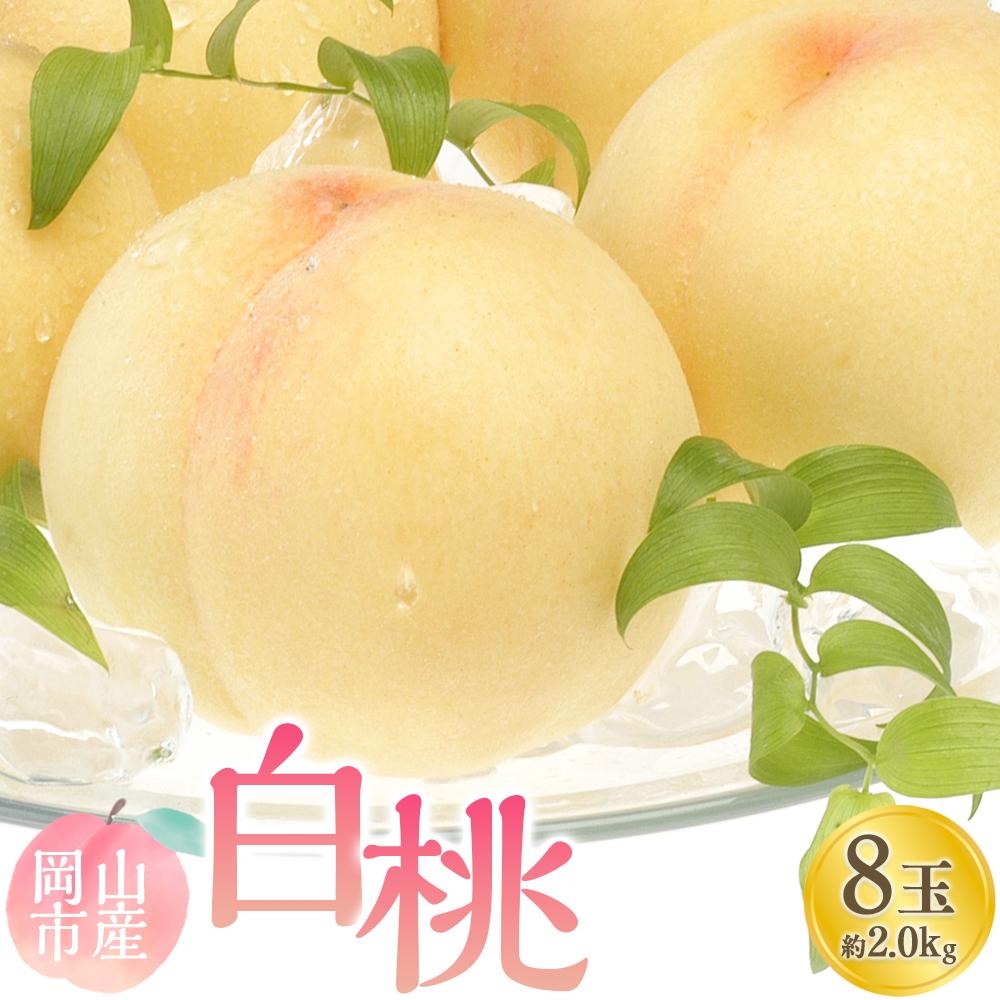 【ふるさと納税】桃 2025年 先行予約 白桃 8玉 合計約2.0kg もも モモ 岡山市産 国産 フルーツ 果物 ギフト | もも フルーツ 果物 くだもの 食品 人気 おすすめ 送料無料
