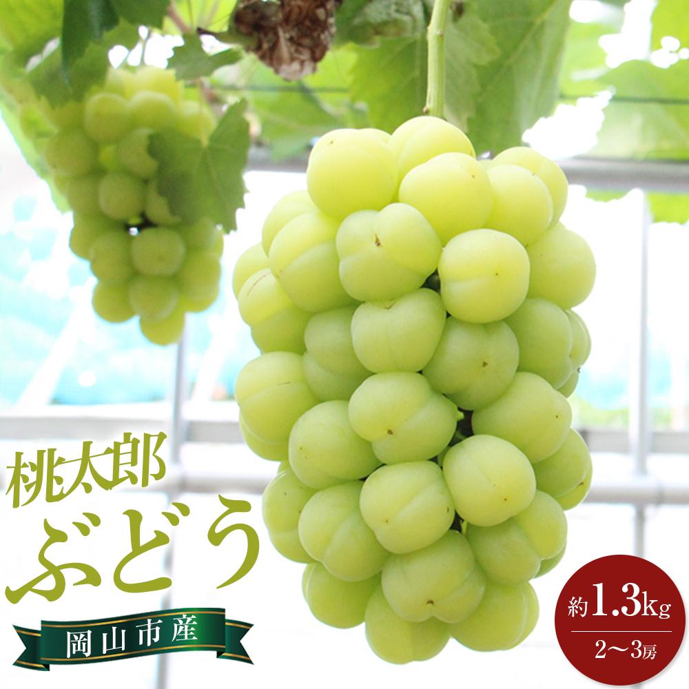 【ふるさと納税】ぶどう 2025年 先行予約 桃太郎 ぶどう 約1.3kg 2～3房 ブドウ 葡萄  岡山市産 国産 フルーツ 果物 ギフト | フルーツ 果物 くだもの 食品 人気 おすすめ 送料無料