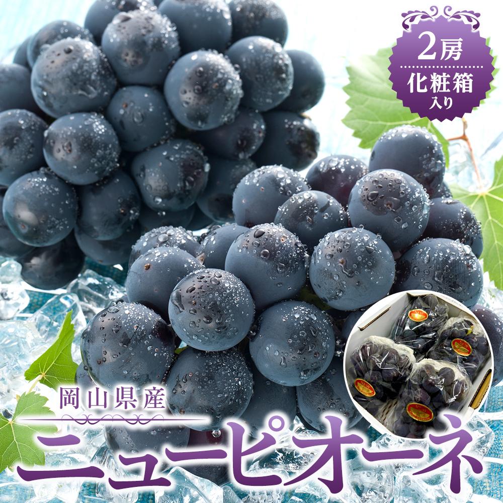 【ふるさと納税】ぶどう 2026年 岡山県産 ニューピオーネ2房(1房480g以上) 化粧箱入り | フルーツ 果物 くだもの 食品 人気 おすすめ 送料無料｜岡山県岡山市