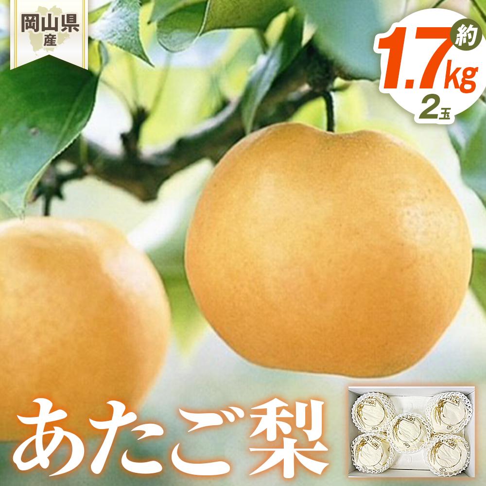 【ふるさと納税】梨 2025年先行予約 岡山県産 あたご梨 2玉(約1.7ｋｇ） 化粧箱入り | フルーツ 果物 くだもの 食品 人気 おすすめ 送料無料