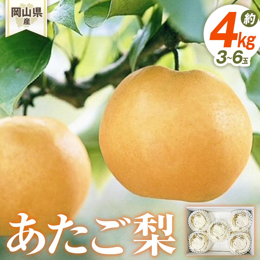 【ふるさと納税】梨 2025年先行予約 岡山県産 あたご梨 3-6玉(約4ｋｇ） 化粧箱入り | フルーツ 果物 くだもの 食品 人気 おすすめ 送料無料